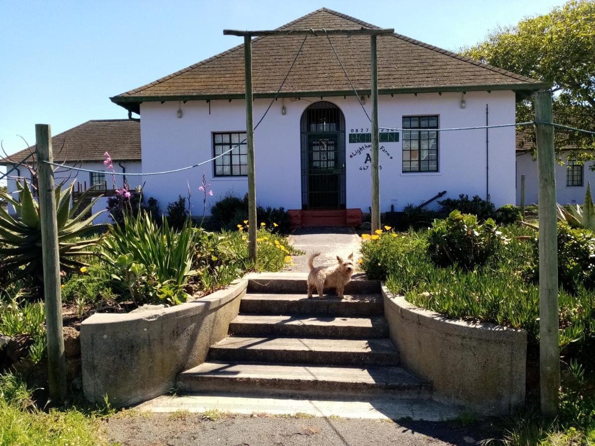 Lighthouse Farm Backpackers Lodge เคปทาวน์ ภายนอก รูปภาพ